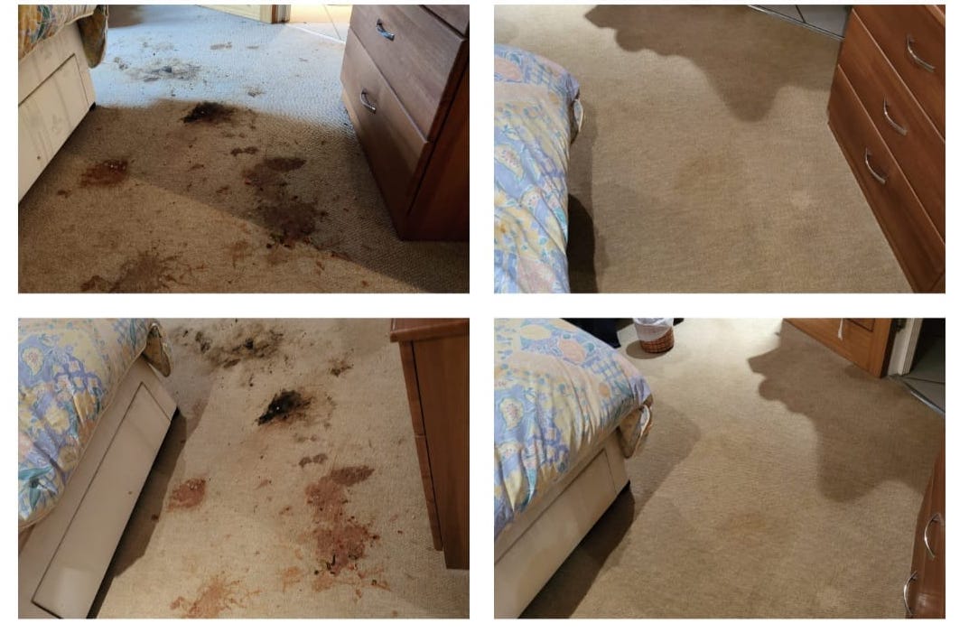 Carpet and household appliance cleaning service