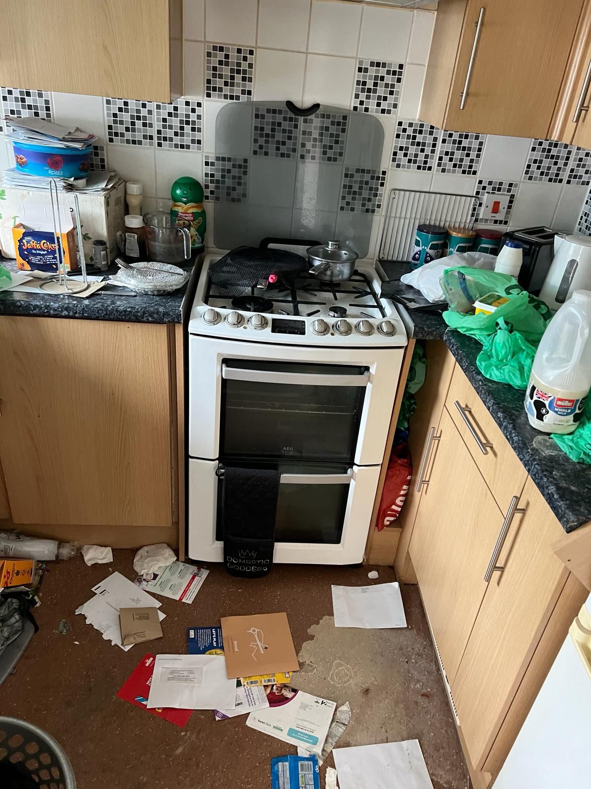 Before hoarding cleanup